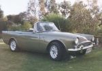 Series III Olive